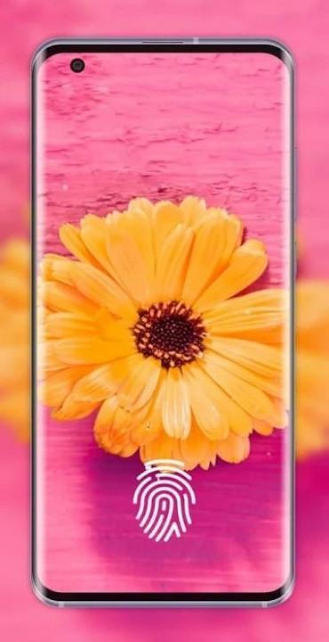 in display 指纹官方版下载,指纹校准app,indisplay指纹,设置app