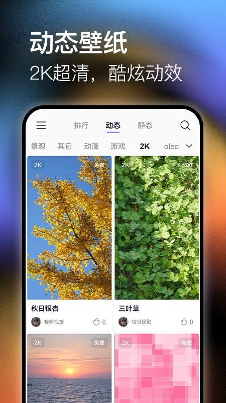 极壁纸app下载,极壁纸,壁纸app